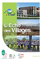 Bulletin 2020