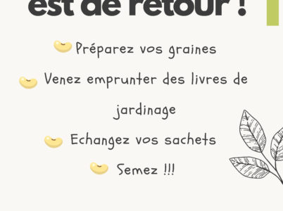 Animations à la bibliothèque